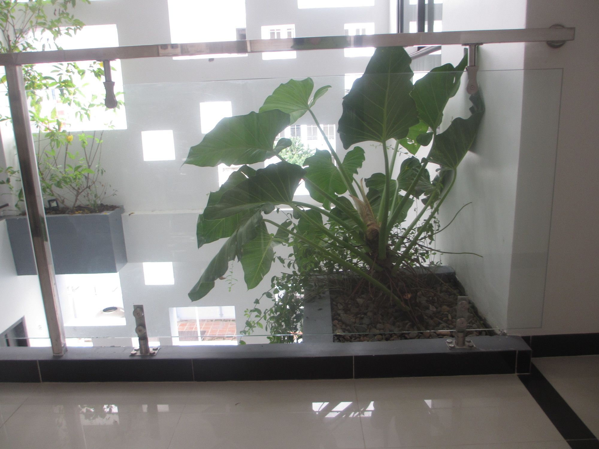 Ale Nha Trang Hotel Luaran gambar